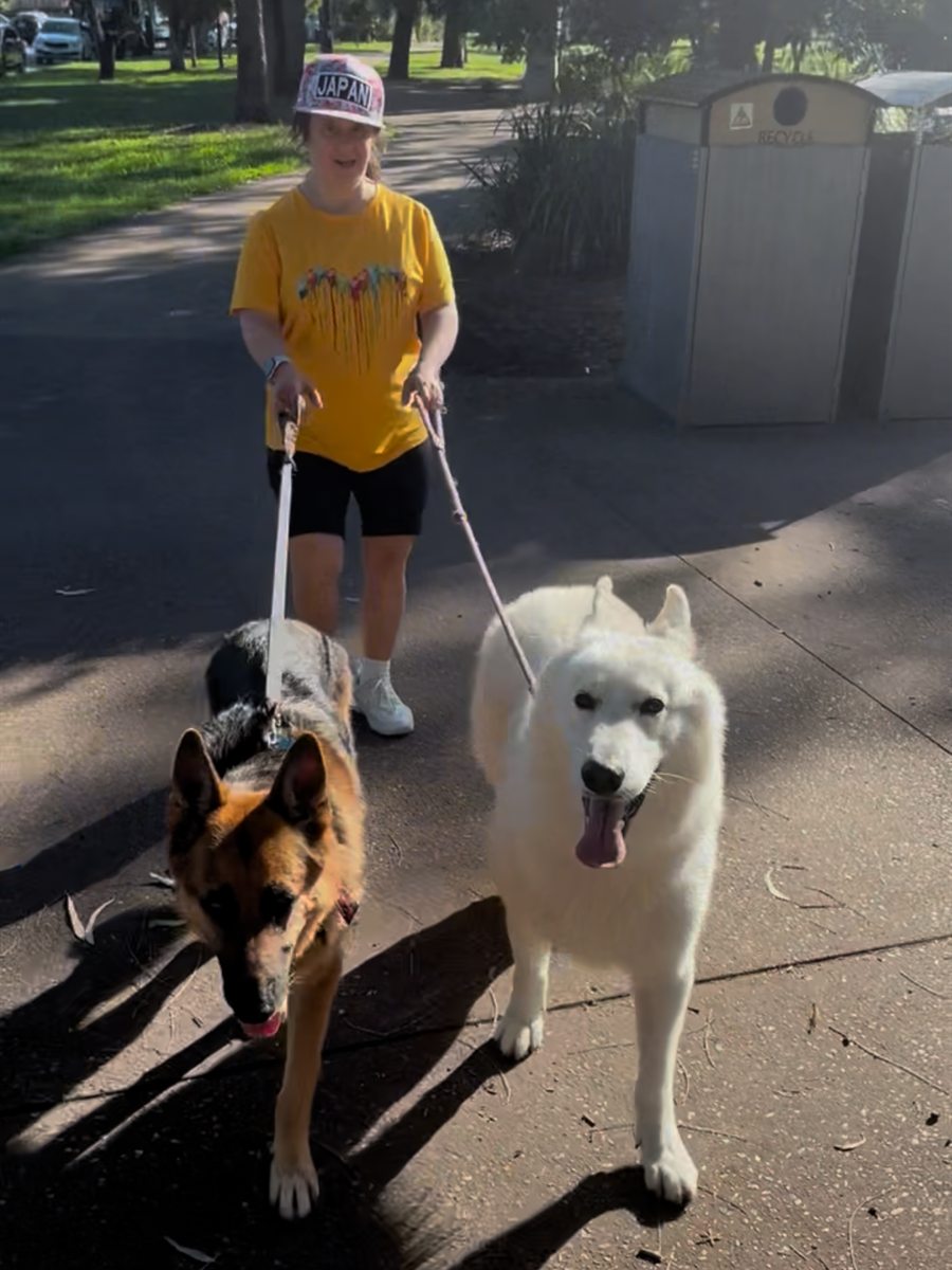 Walking both dogs along a footpath on a sunny day