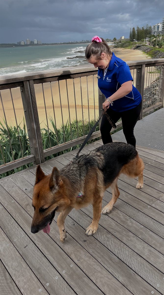 Walking a dog along a boardwalk by the beach